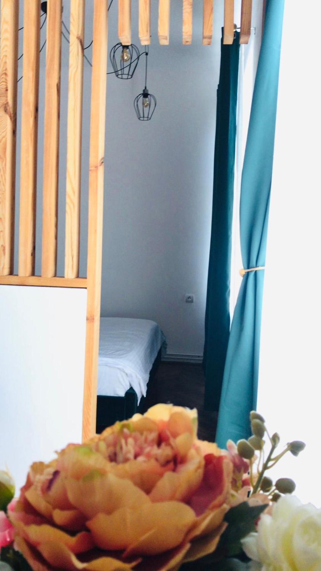 Joseph Hayn Apartments Sighişoara Eksteriør billede
